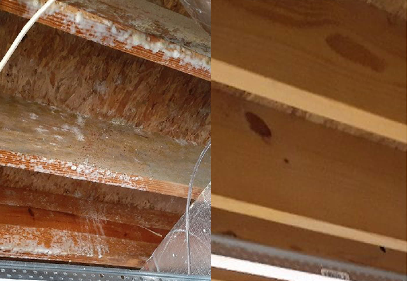 Thermal moisture scan inside a residential room