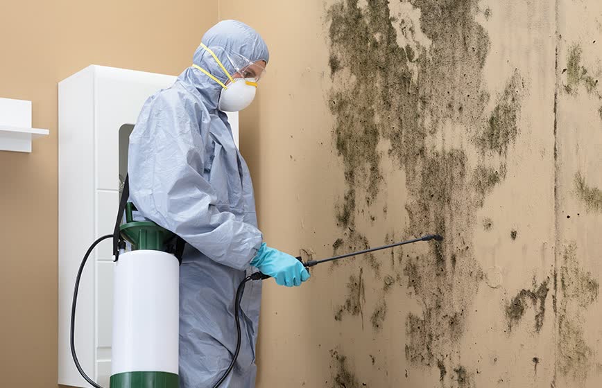 Mold remediation team working inside a contained room with air-control equipment